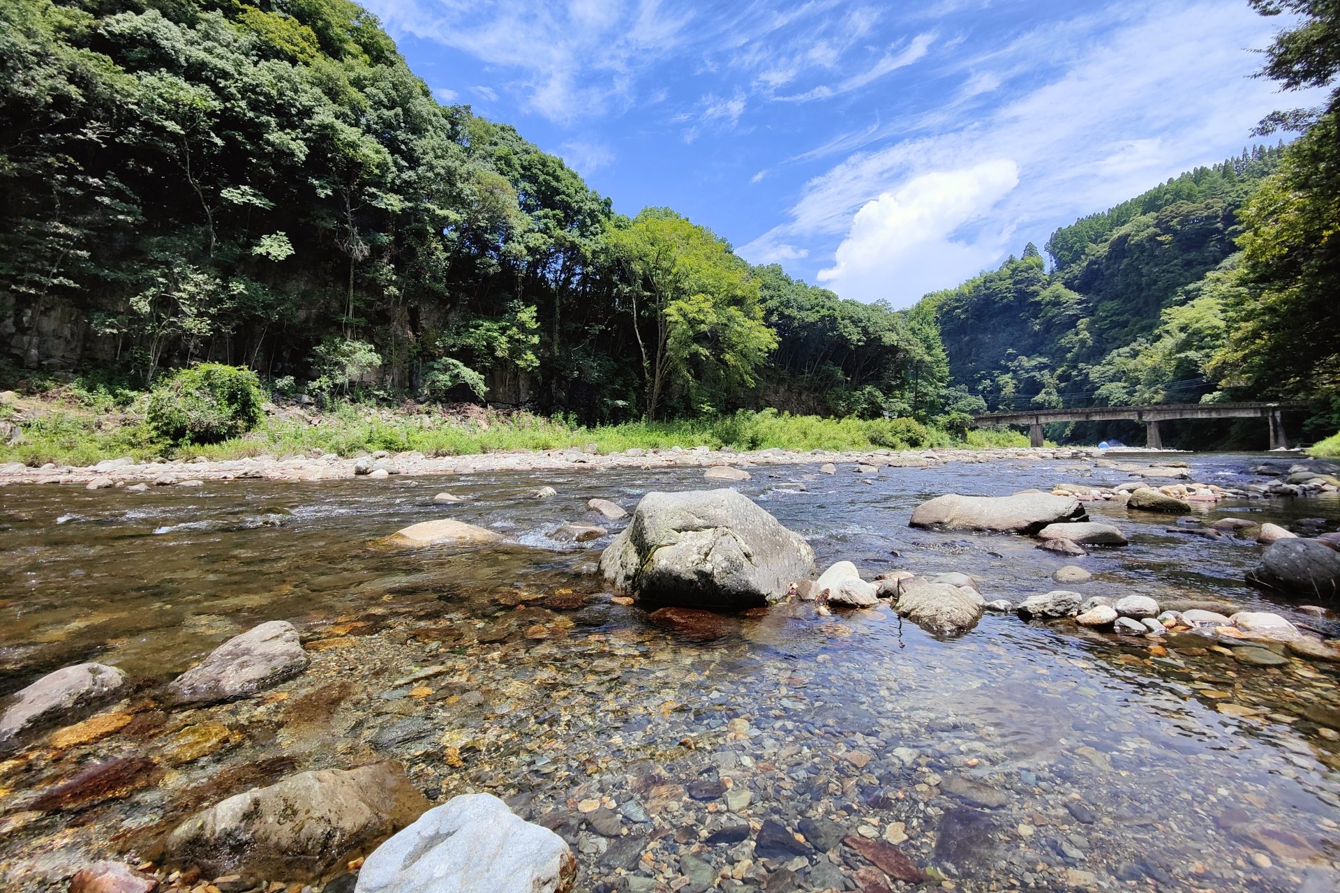 都心から行ける!魚のつかみ取りと自然体験が楽しめるスポット特集