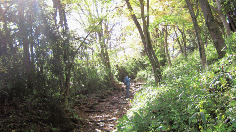 美食を目指してハイキング！いにしえの山道「箱根旧街道」を越えて峠の茶屋へ