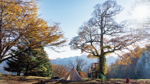 2025年秋のイチオシ！紅葉登山が楽しめるキャンプ場9選