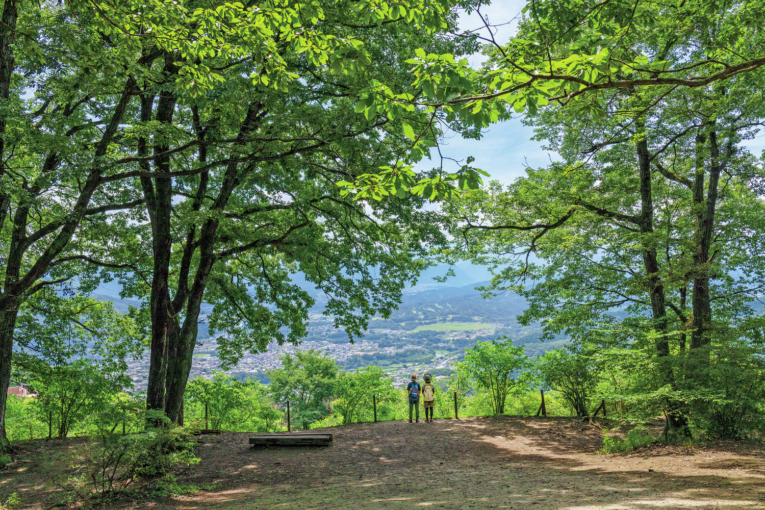 山の神社で祈祷しカツ丼で勝つ！ 母娘＂食い倒れ＂合格祈願「宝登山～長瀞アルプス」ハイキング