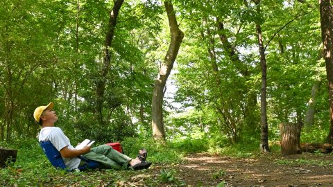 昼寝、キャンプに最高！日本人こそ「座椅子」がおすすめな3つの理由