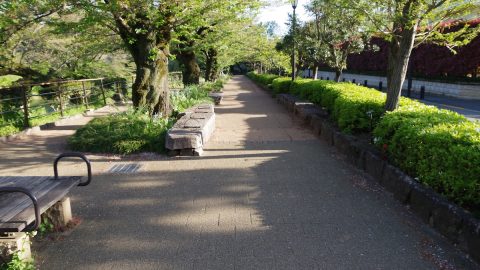桜の季節だけじゃない！気持ちのいい秋の千鳥ヶ淵散策ルート【プロハイカー斉藤正史の東京GREEN WAY  FILE.12】