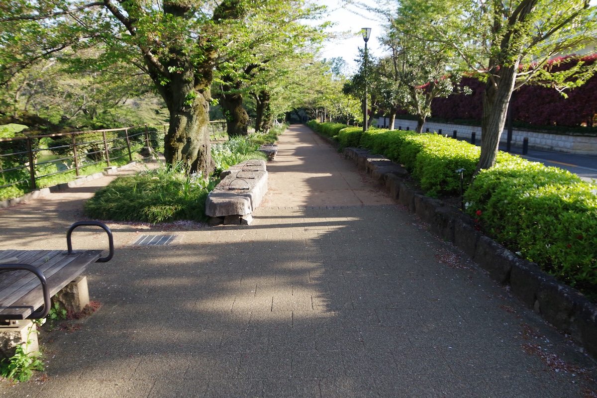 桜の季節だけじゃない!気持ちのいい秋の千鳥ヶ淵散策ルート【プロハイカー斉藤正史の東京GREEN WAY FILE.12】