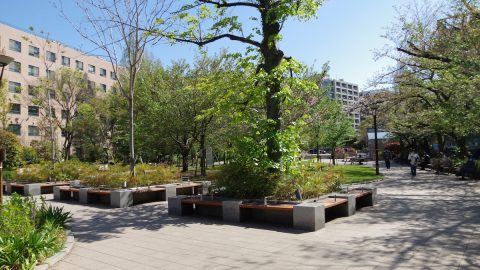 築地を散歩！かつて存在した川の跡を歩き、歴史を辿る【プロハイカー斉藤正史の東京GREEN WAY  FILE.9】