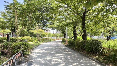 浅草散歩で知り得た「招き猫や歌舞伎にまつわる歴史」とは？【プロハイカー斉藤正史の東京GREEN WAY  FILE.15】