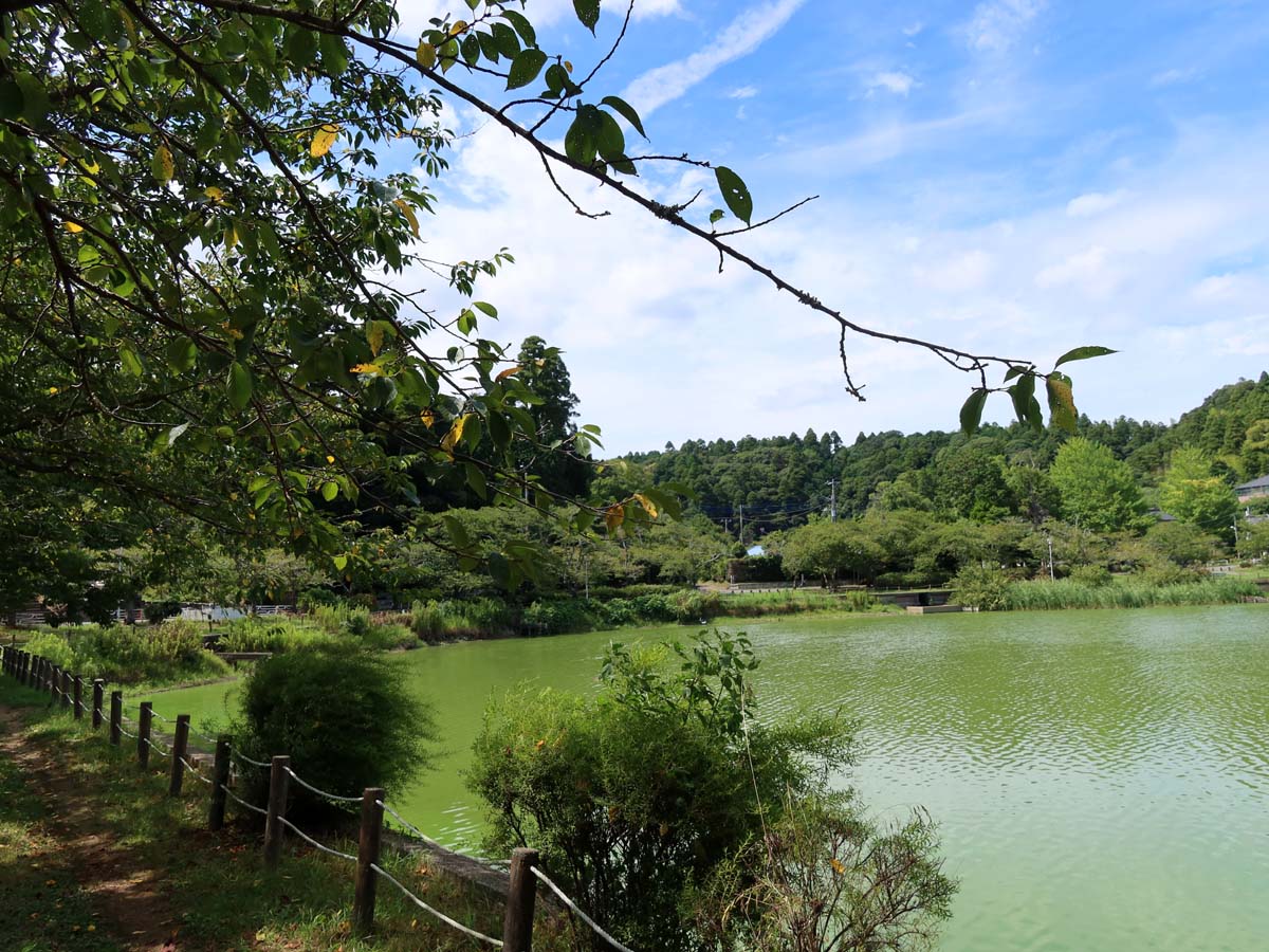 八鶴湖