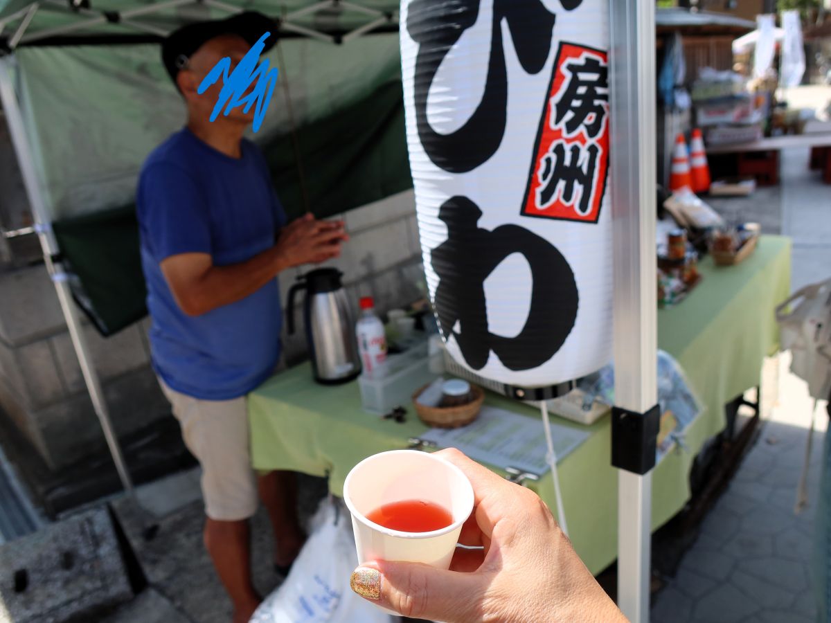 びわ茶