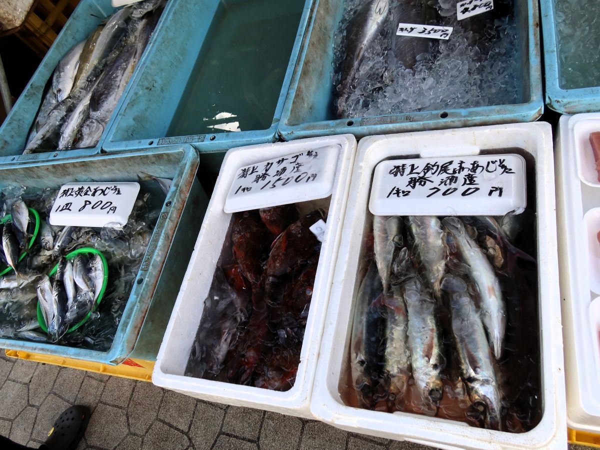 鮮魚