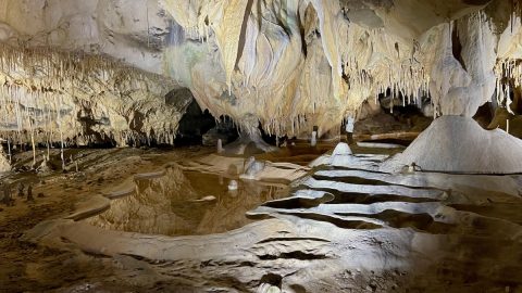 南仏プロヴァンスの太陽の下に広がる静かな地底世界、トゥゾン洞窟は一見の価値ありだ！