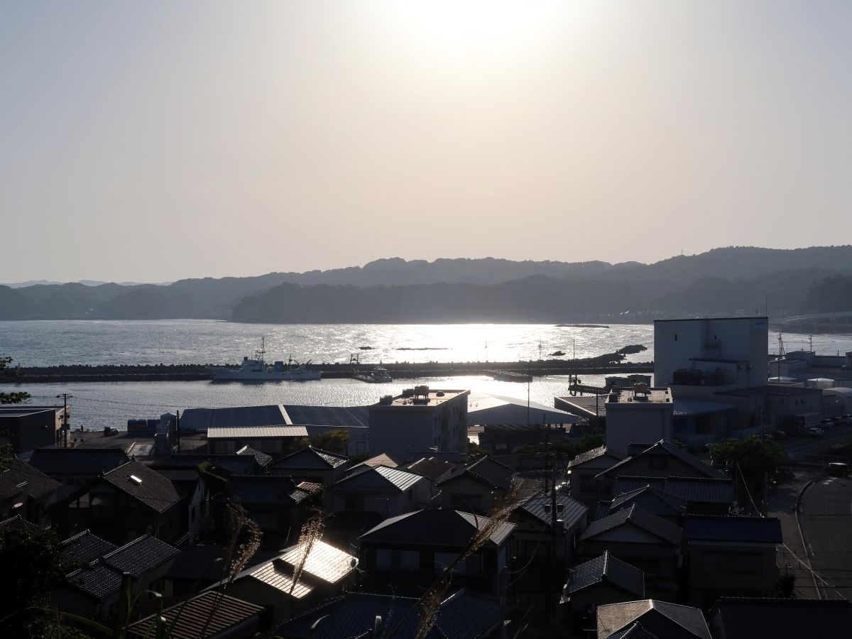 遠見岬神社からの勝浦漁港