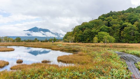 尾瀬は黄金色に輝く秋がおすすめ！雨の日の楽しみ方や鳩待峠に新オープンの山ホテルも紹介