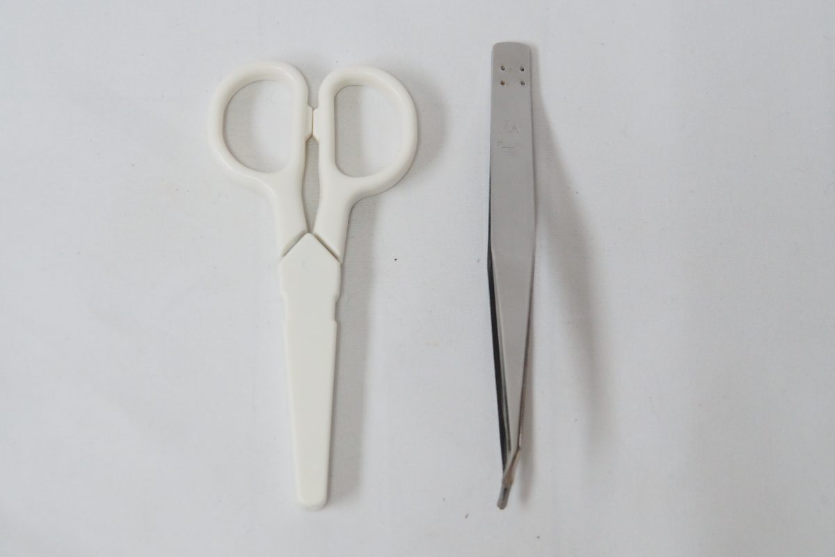 はさみとピンセット