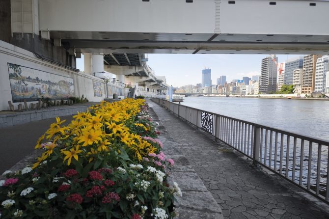 ★25★隅田川東岸の両国界隈を歩きながら感じる江戸のにおい【プロハイカー斉藤正史の東京GREEN WAY  FILE.25】