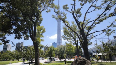 墨田区の歴史の深さを感じた散策コース。日本初の少年野球場ほか発見がたくさん！【プロハイカー斉藤正史の東京GREEN WAY  FILE.19】