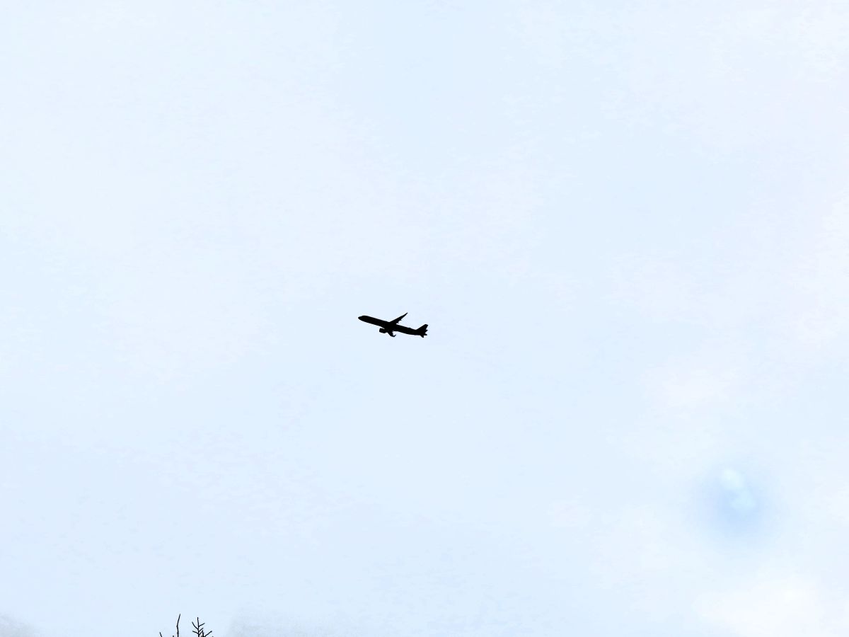成田空港に向かう飛行機