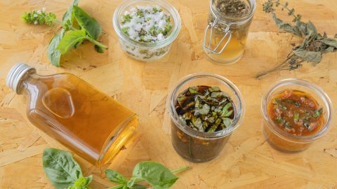 フレッシュバジルで「さ・し・す・せ・そ」調味料を作ろう！実の塩漬けやバジルシロップなど