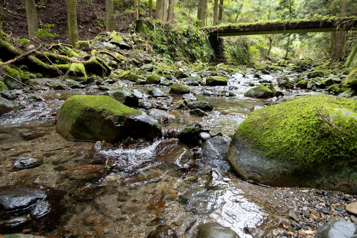 きれいな沢