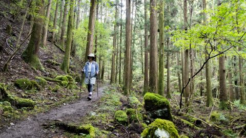 2025年10月、14年ぶりに復旧した熊野古道・中辺路の正規ルートを歩いてみた