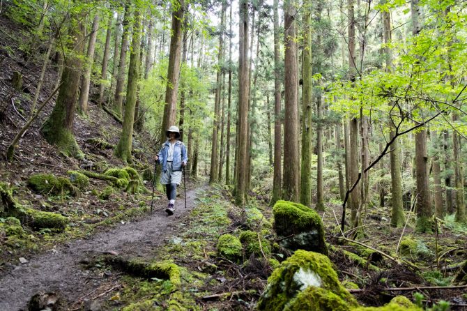 熊野古道を歩く