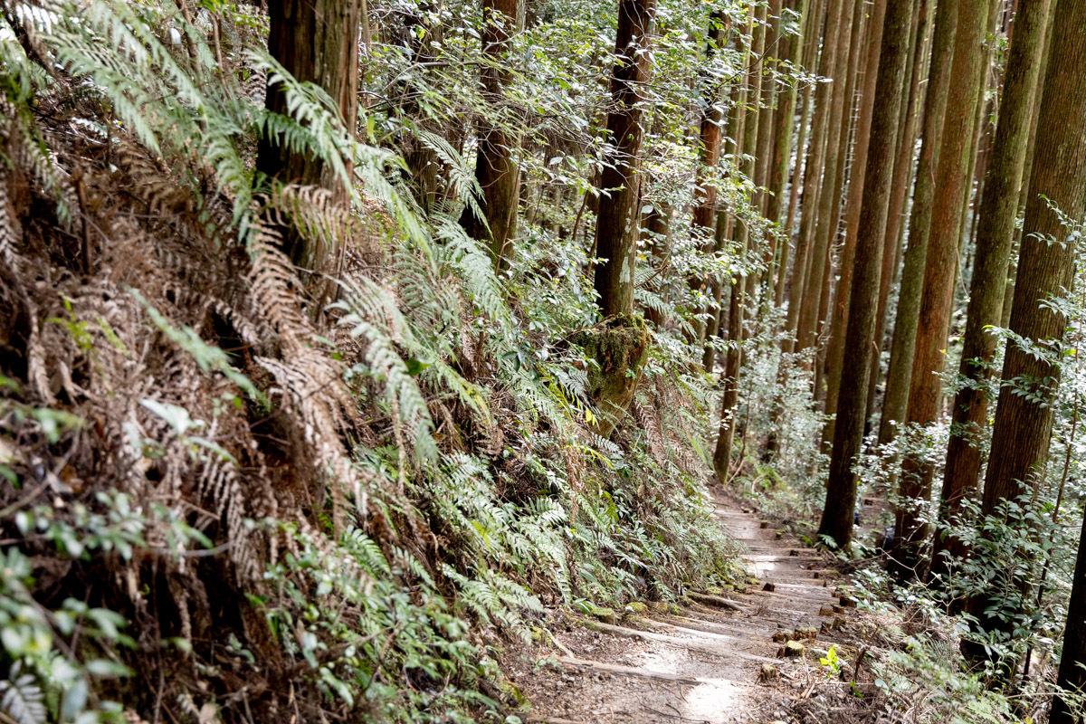 この日、最後の上り