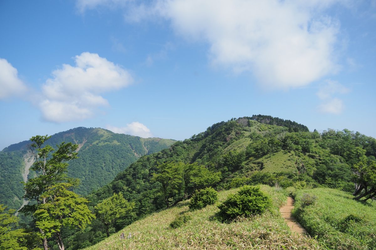 丹沢主脈の登山道