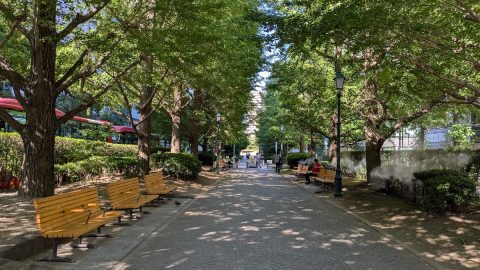 江戸時代の川の跡をたどり、ナウマンゾウに出会う（？）緑道散策【プロハイカー斉藤正史の東京GREEN WAY  FILE.22】