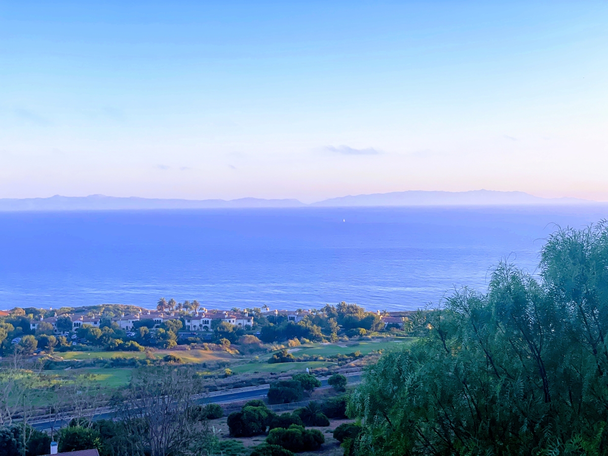 丘の中腹にある住宅地からの眺め。