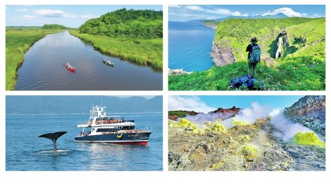 北海道で体験できるおすすめツアーをご紹介｜大自然と絶景を楽しむ