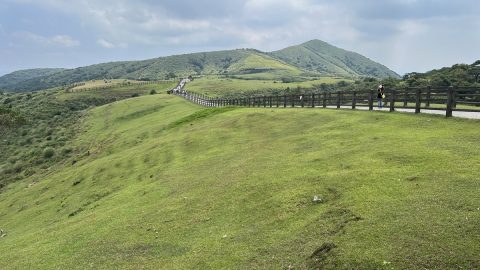 台湾・台北でハイキングにも最高。のどかな大草原「擎天崗（けいてんこう）」って、ご存じですか？