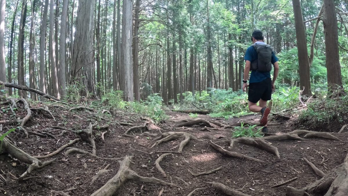 トレイルランの風景