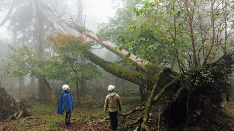 秩父演習林のフィールドワークに同行！ シカの食害で荒れゆく森林を再生する東大の博士