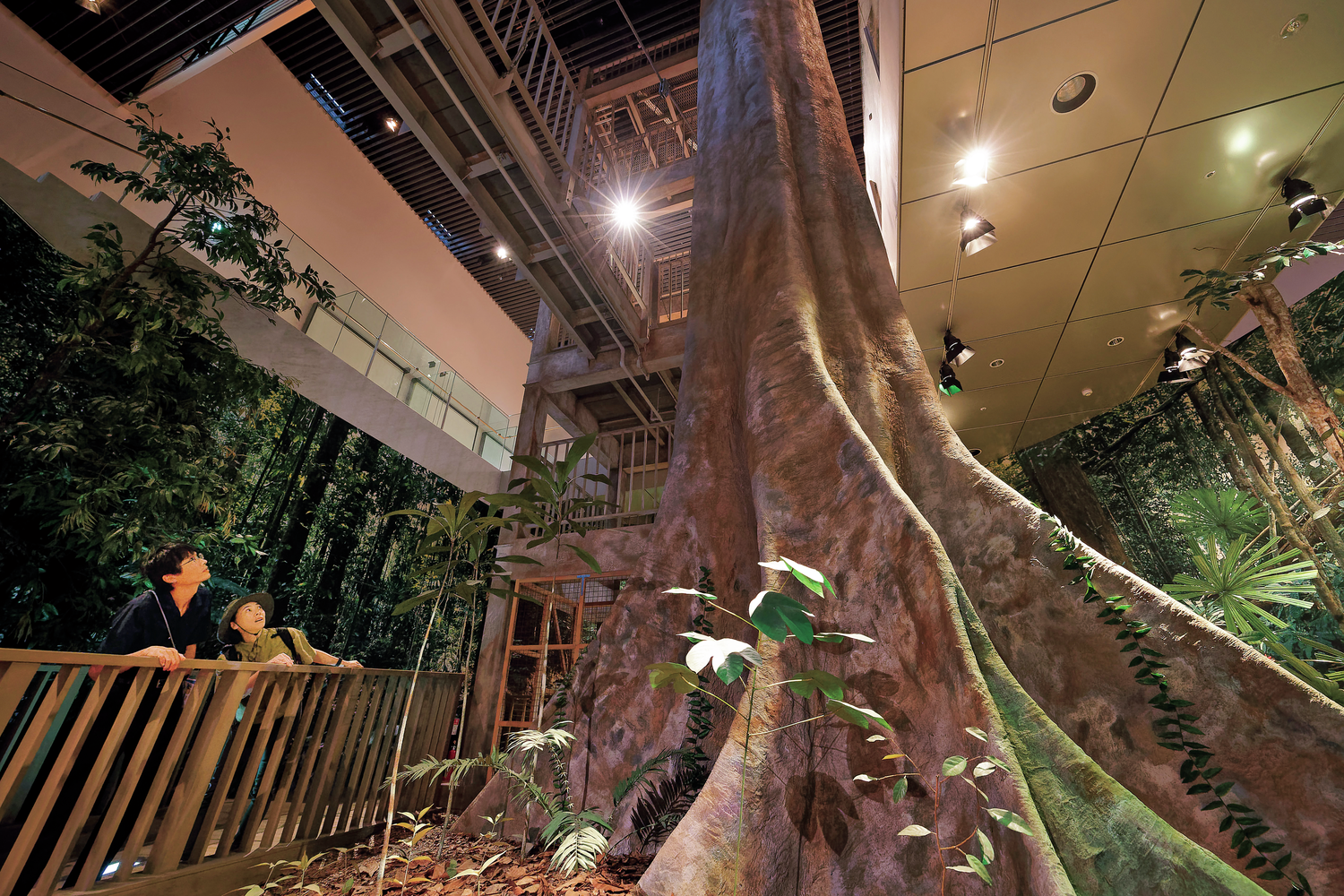 アウトドア派が知的好奇心を満たせる！〝行ける”京大スポットを探索