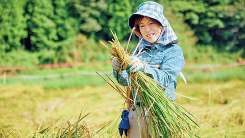 実家は代々続く農家！ 磯野貴理子さんがおいしい米づくりに挑戦
