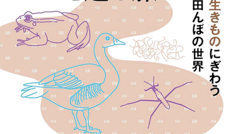 田んぼの世界、研究者の生態……BE-PALおすすめのネイチャー系新刊BOOKをご紹介！