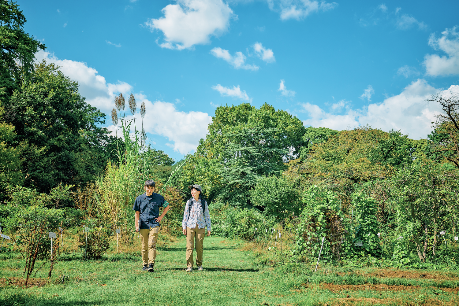 ブラっと散歩から学術探求まで！ネイチャー好きが楽しい〝行ける”東大スポット