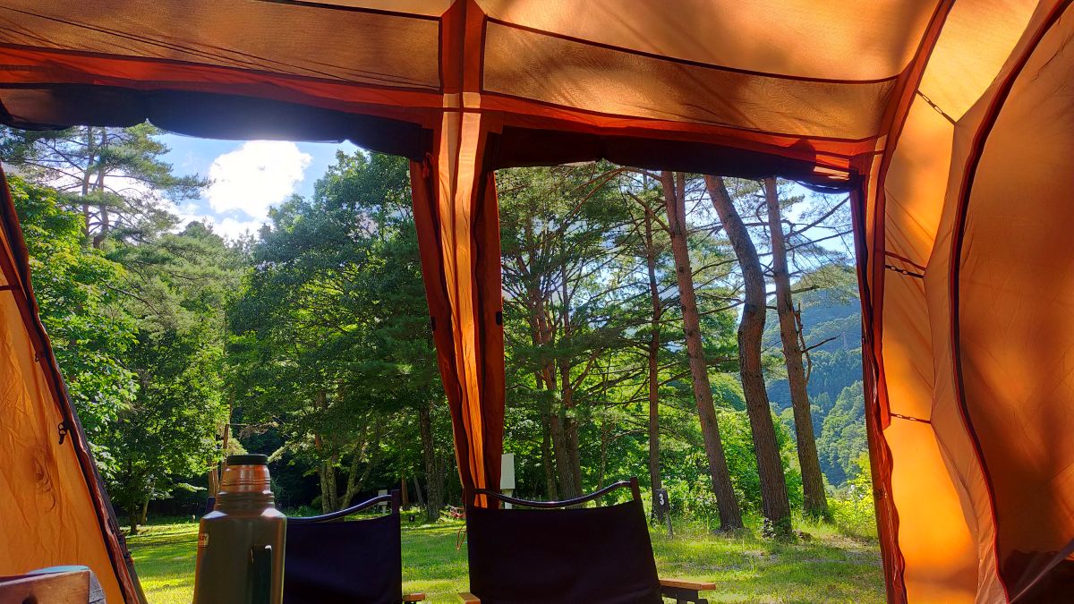 テントのリビングから見える森。