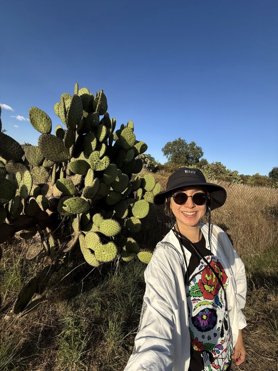 自生しているサボテン