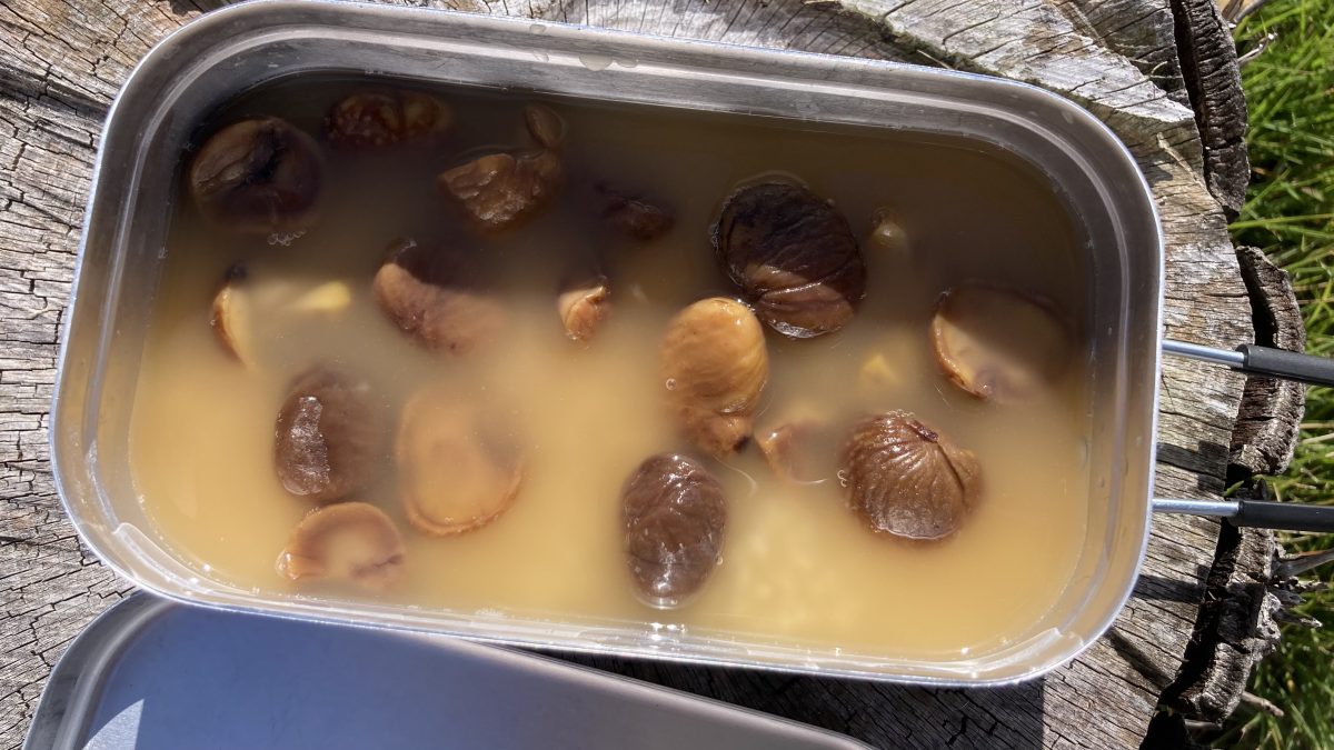 炊く前の栗ご飯