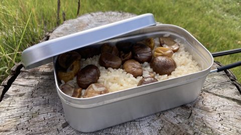 誰でも簡単クッキング！天津甘栗で作るほっこり栗ご飯レシピ