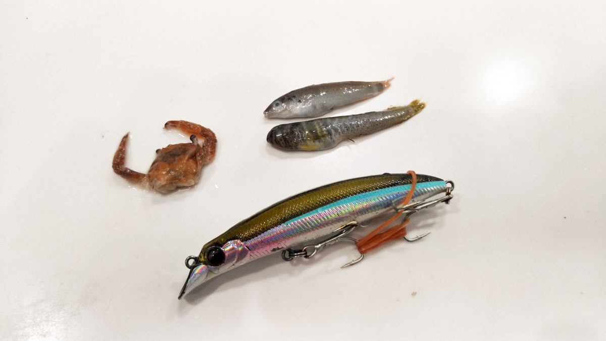 ルアーとベイト