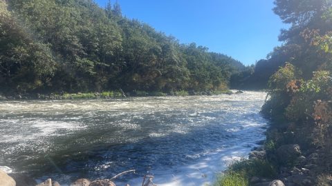 ダムを撤去したら鮭が還ってきた！ アメリカ西海岸を流れるクラマス川が示した希望