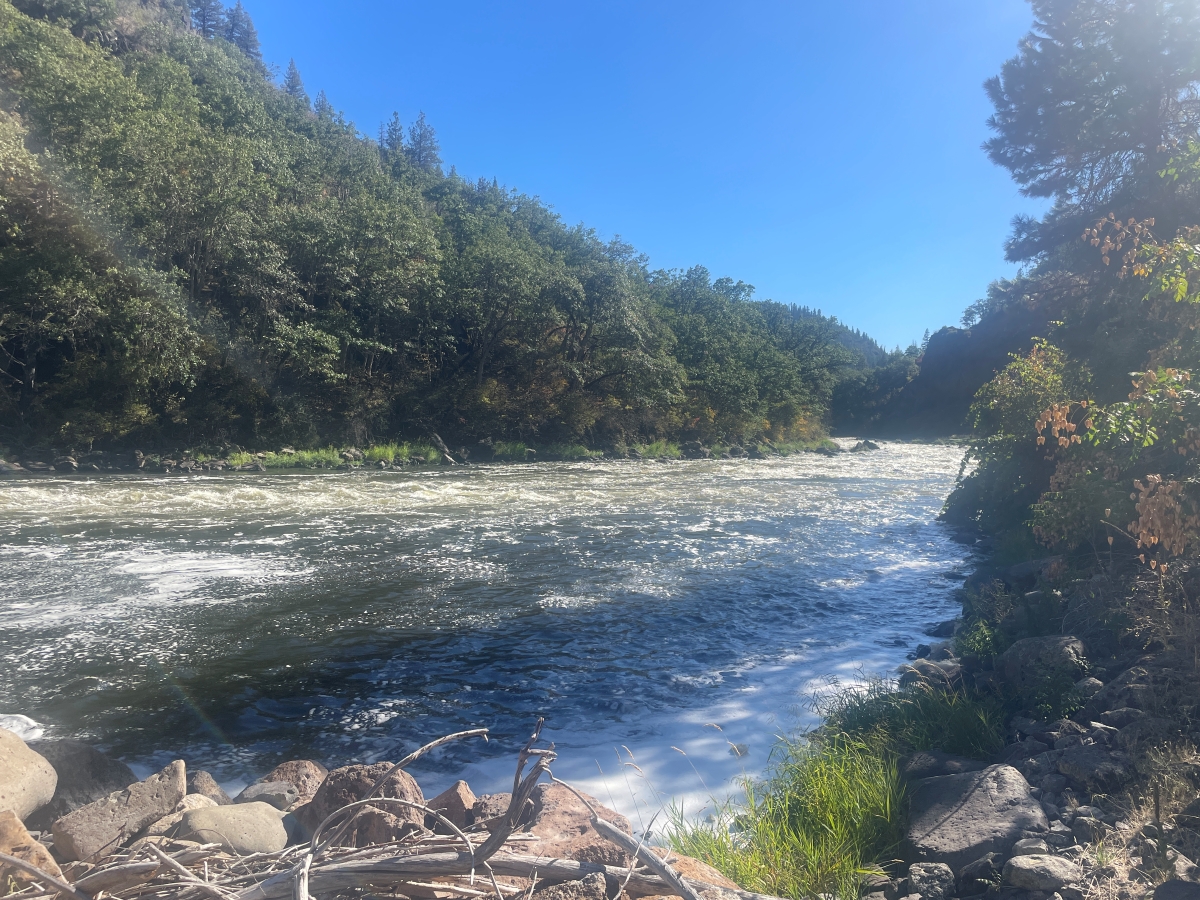 ダムを撤去したら鮭が還ってきた！ アメリカ西海岸を流れるクラマス川が示した希望
