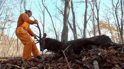 元NHK「ダーウィンが来た！」ディレクターが猟師に！人生最大にして最高の頂きものとは？