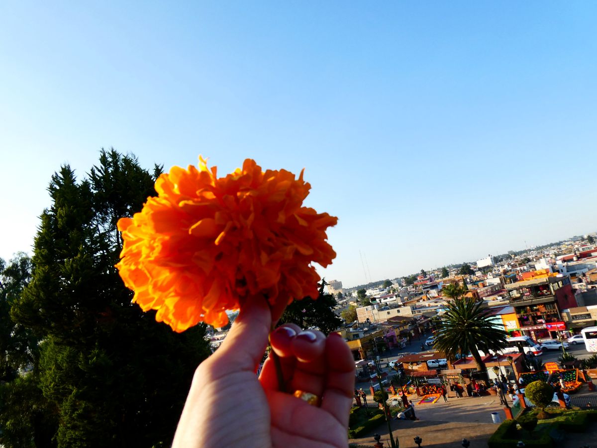 メテペックの風景