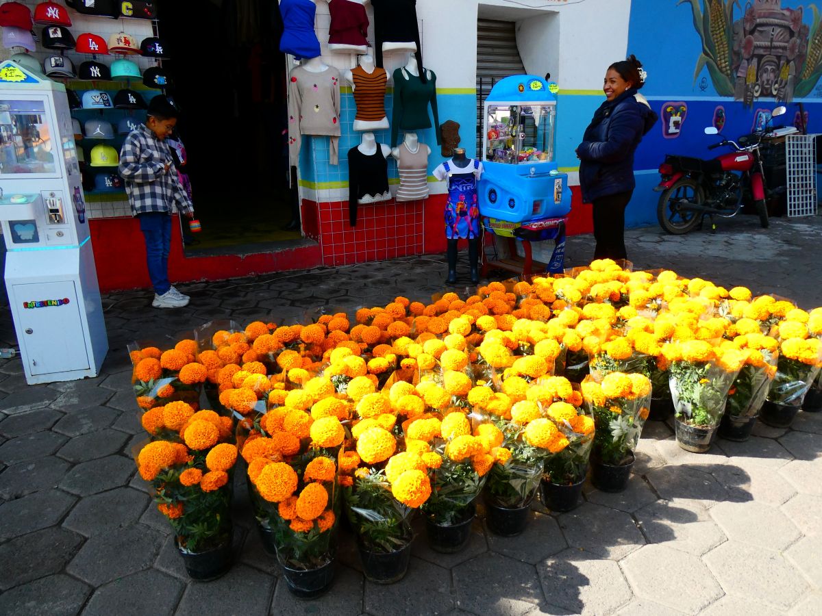 マリーゴールド