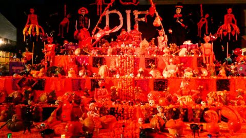 ユネスコ無形文化遺産「死者の日」へ。国井律子がメキシコで見た、色彩と信仰の境界線とは？