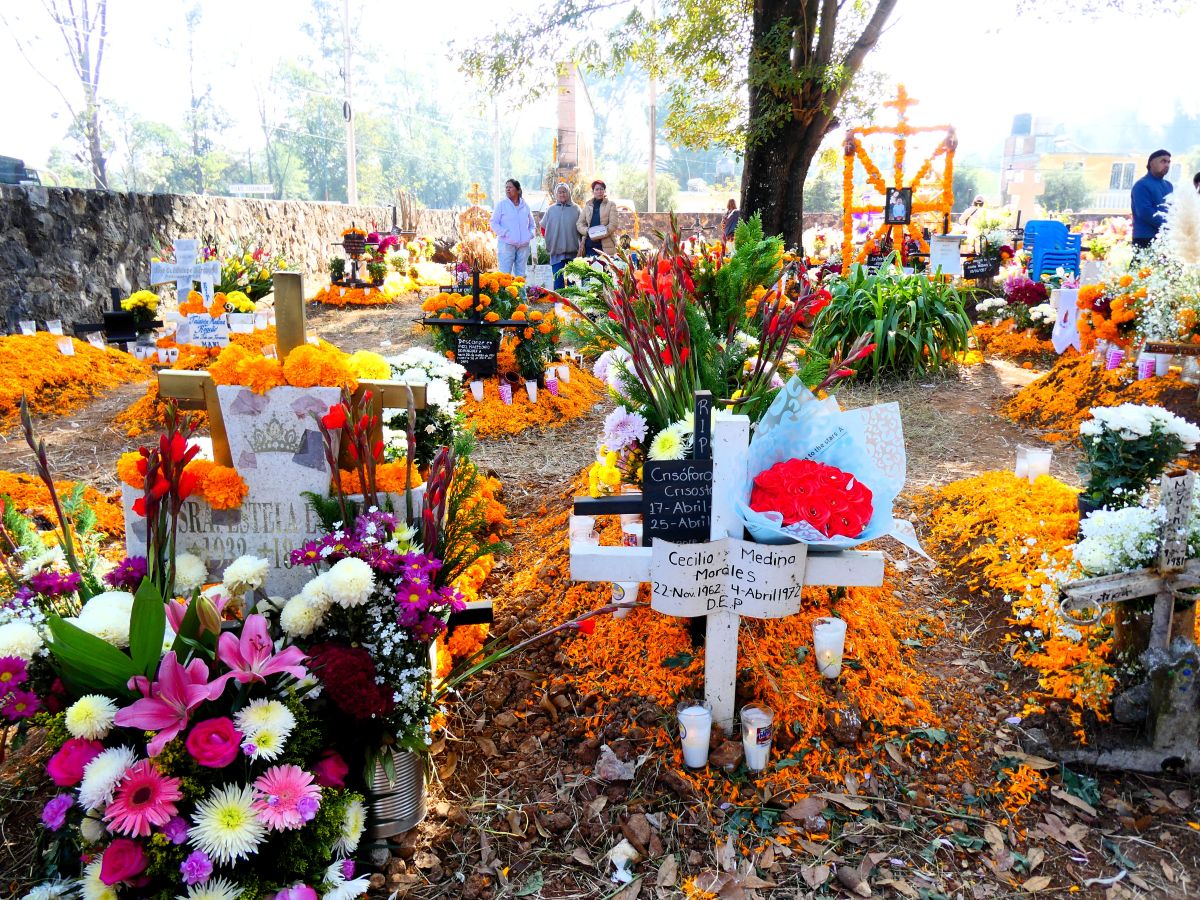 11月2日朝の墓地