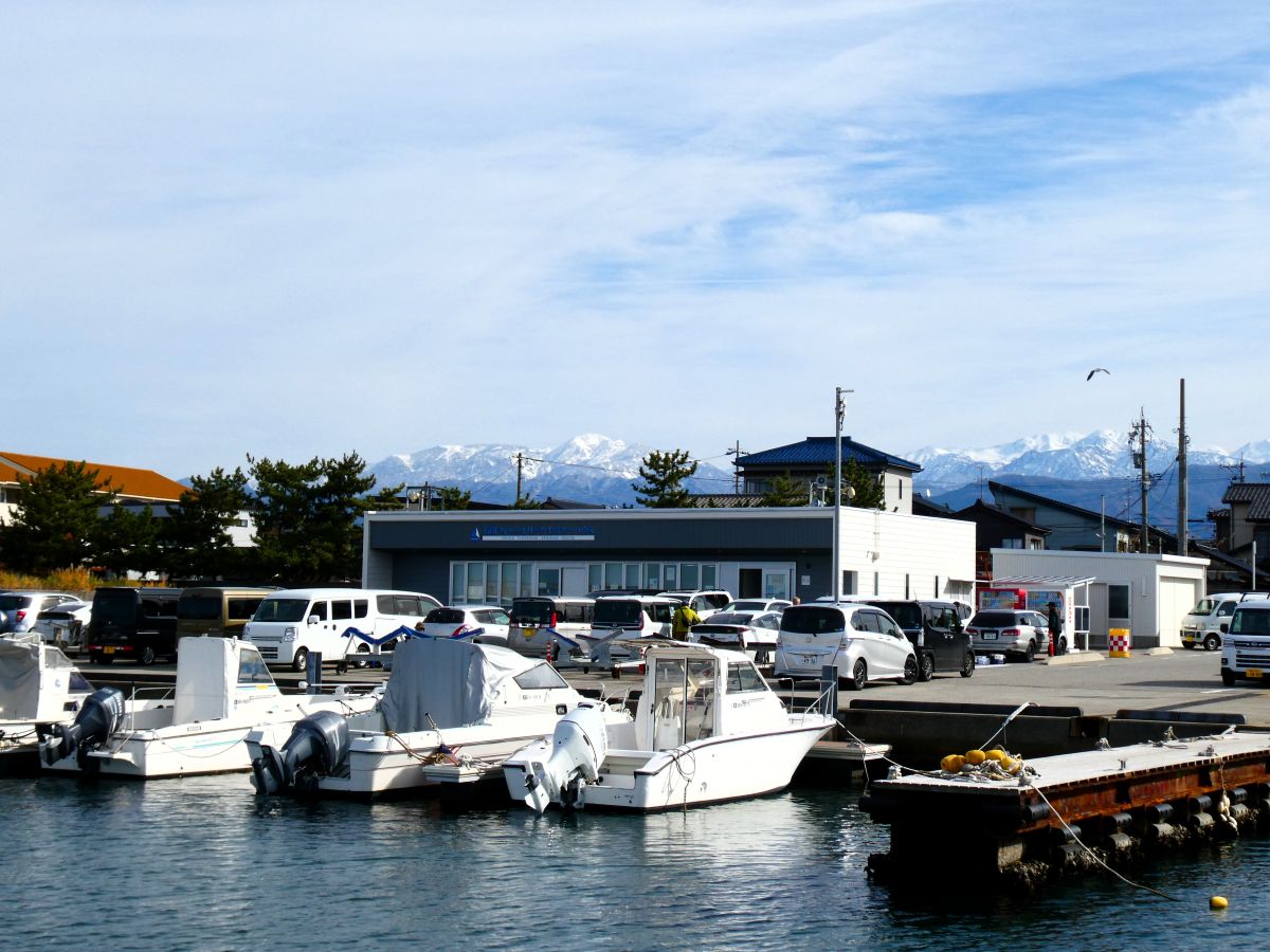 港に面した四角い建物が管理棟