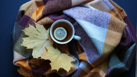 おすすめのUSB式電気毛布12選！冬キャンプを暖かく快適に