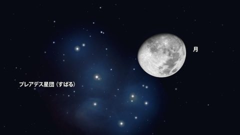 今年最後の天文ショーは年越し「すばる食」！南の「長寿の星」も見るチャンス！